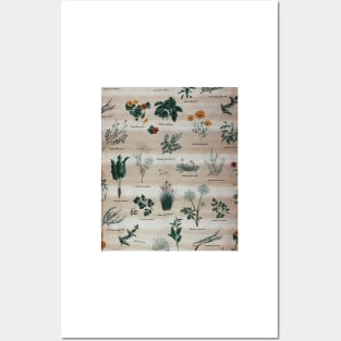 Plants Pattern Posters and Art